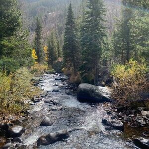 Meet your Posher, Brenda